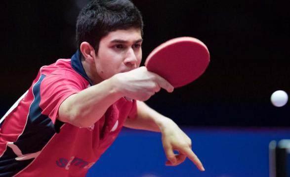 根据记者报 根据记者报