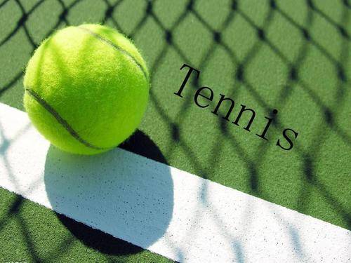 特在比赛中 特在比赛中